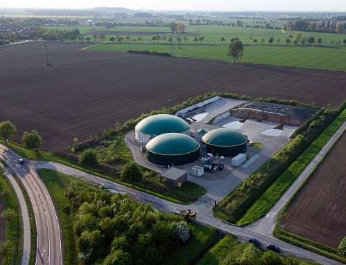 Kilka uwag o polskim sektorze biomasy na tle światowym